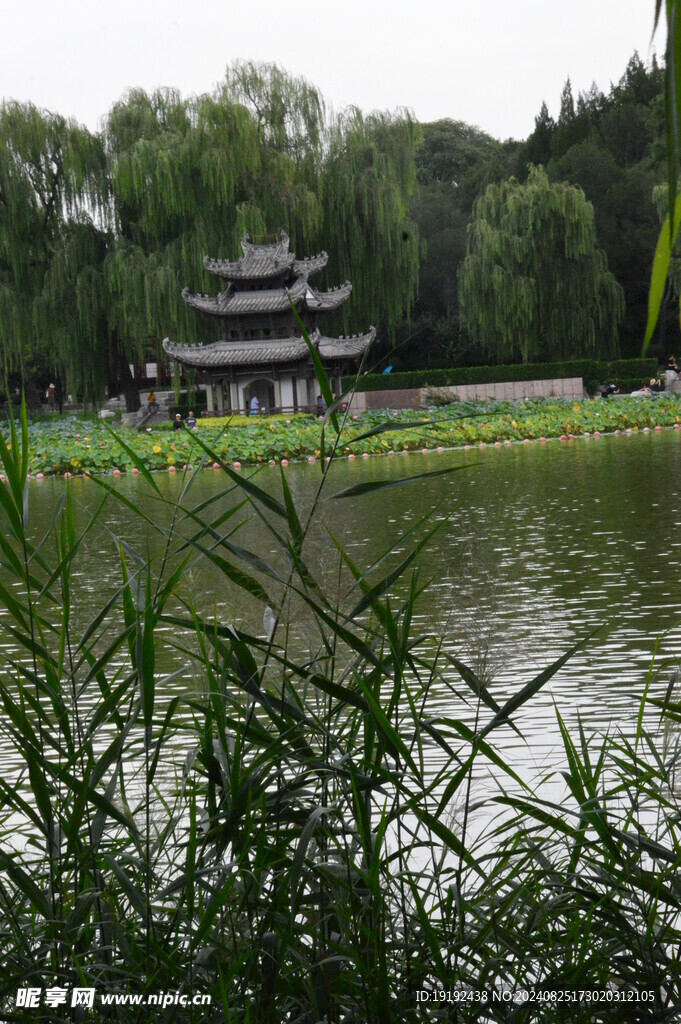 公园风景 