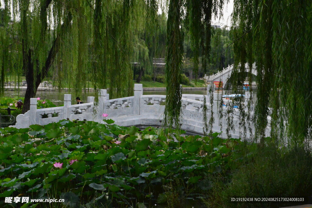 公园风景 