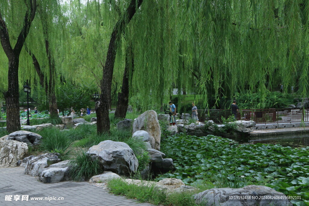 公园风景 