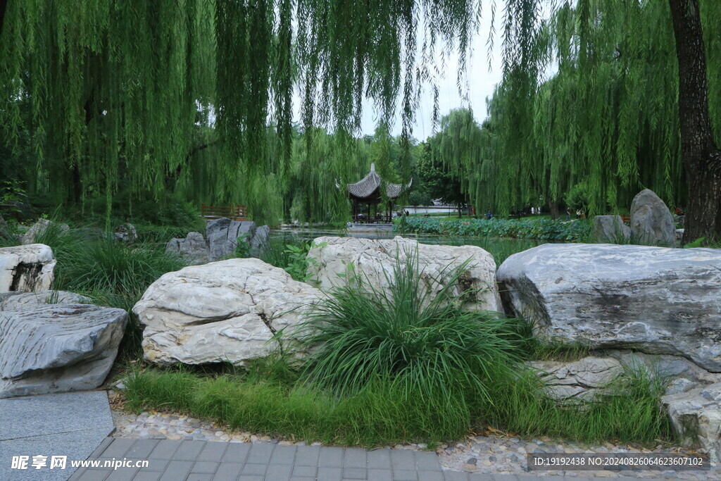 公园风景  
