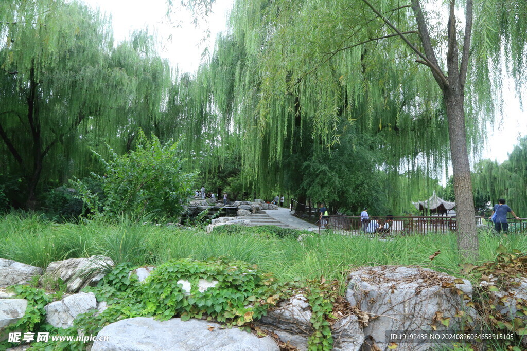 公园风景  