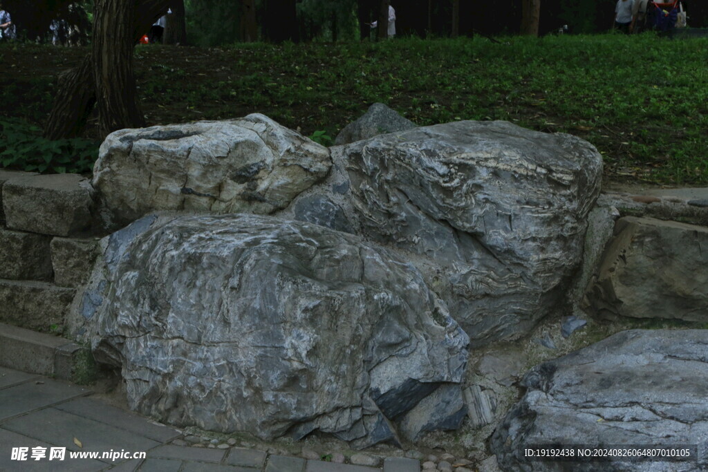公园风景  
