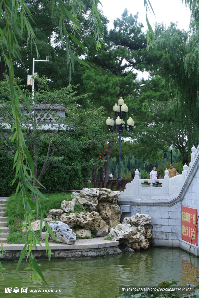 公园风景 