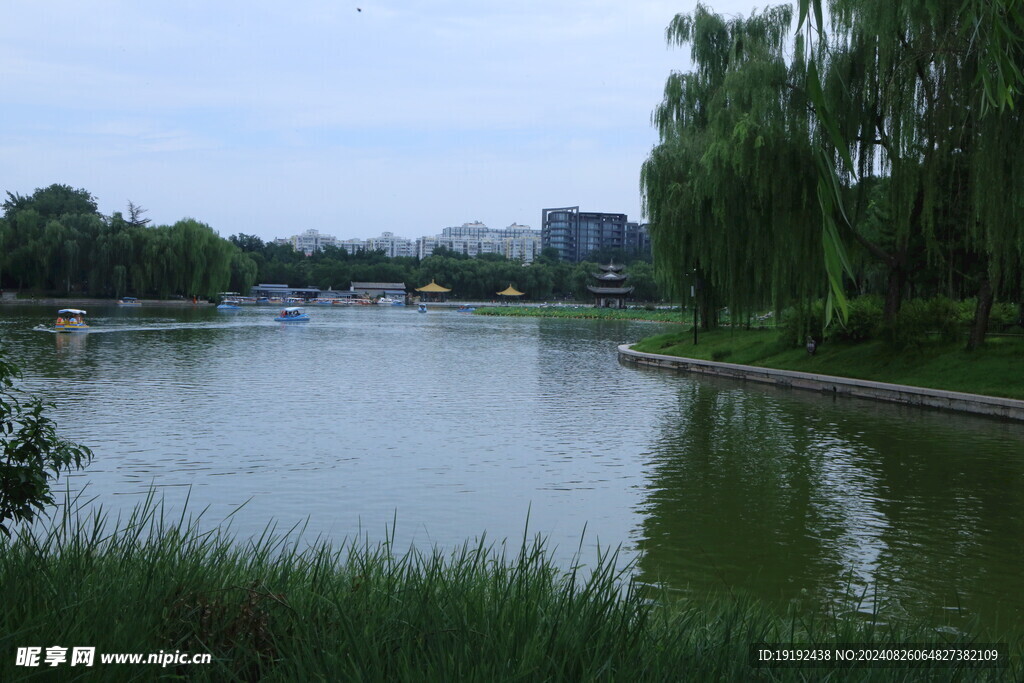 公园风景  