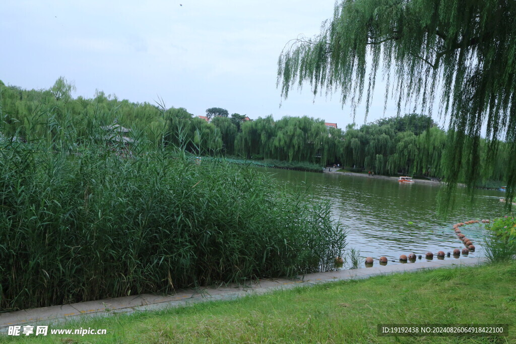 公园风景 