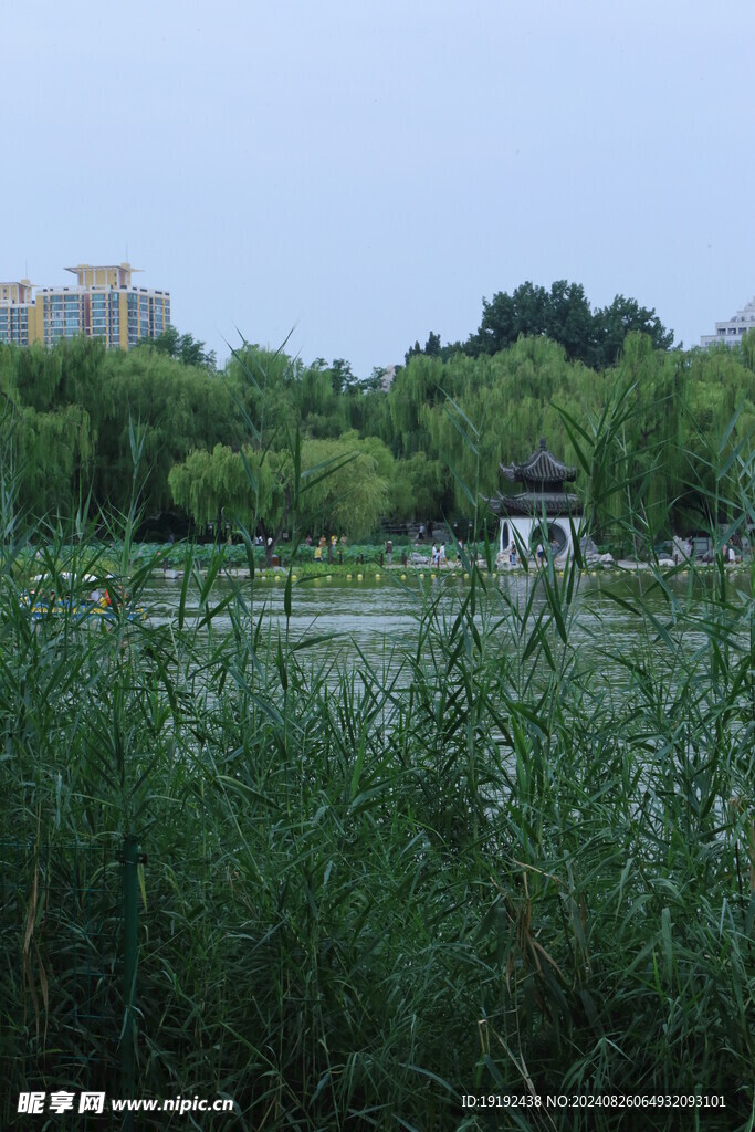 公园风景 