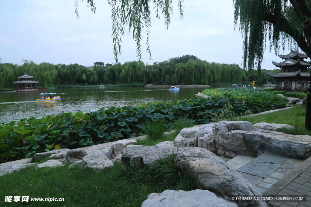 公园风景 