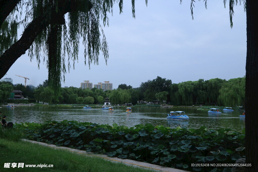 公园风景 