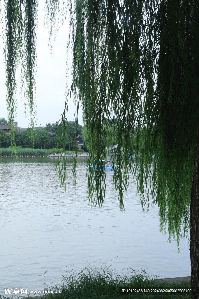 公园风景  