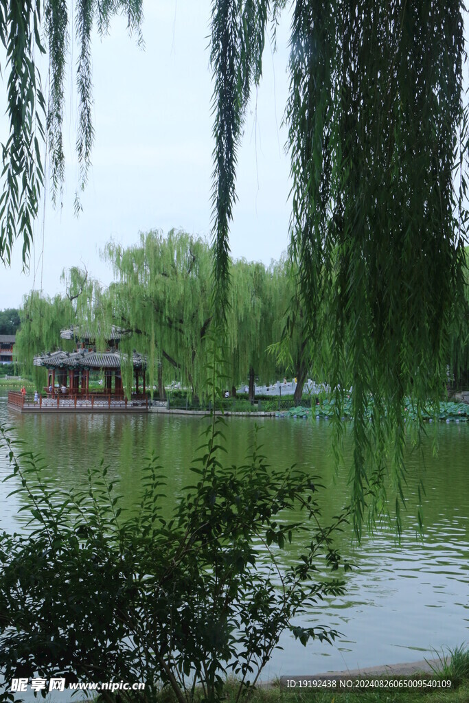 公园风景 