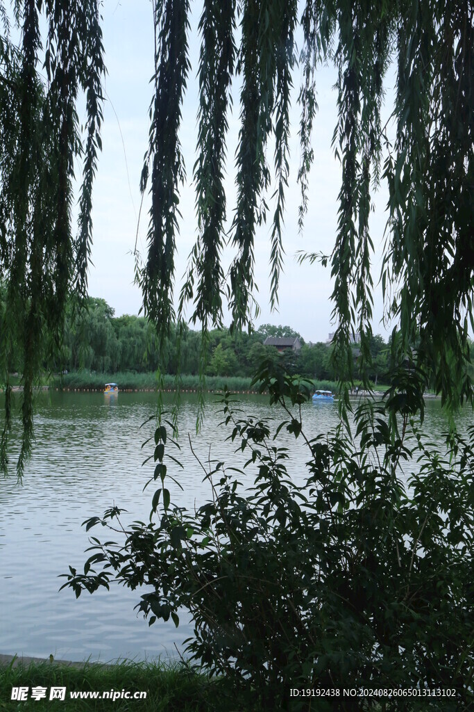 公园风景  
