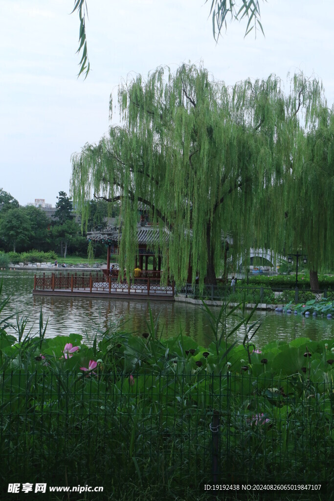 公园风景  