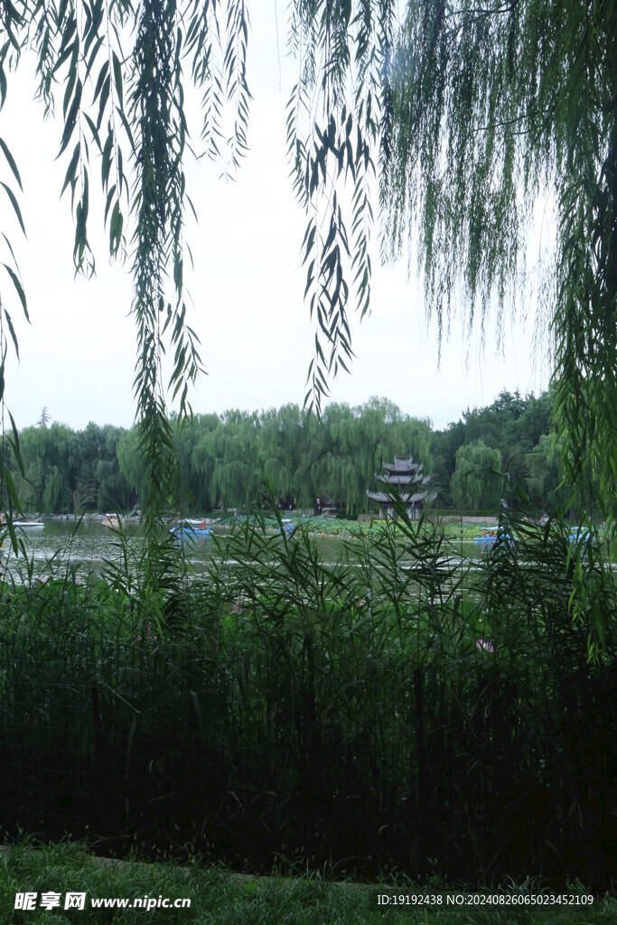 公园风景  