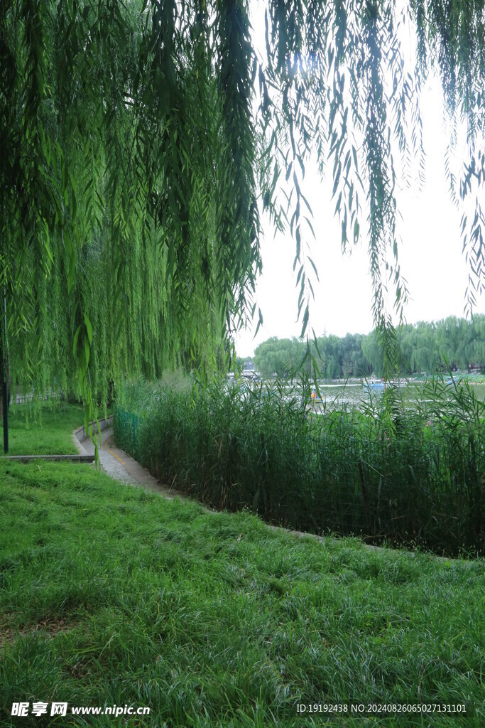 公园风景