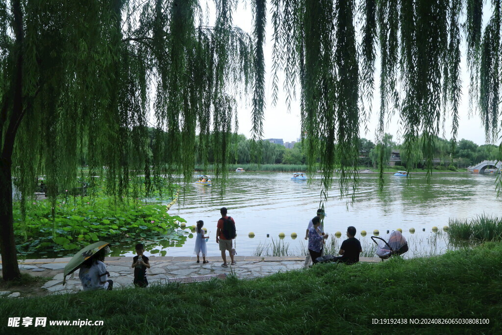 公园风景 