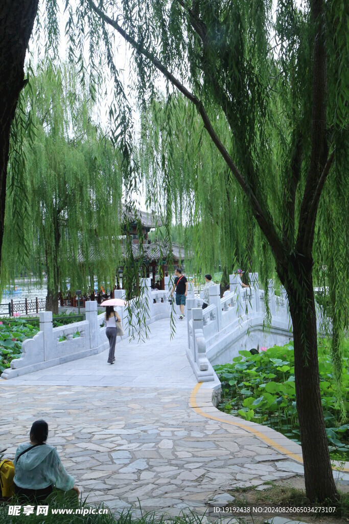公园风景 