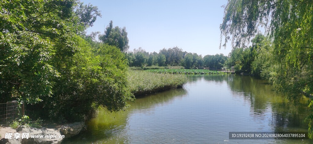 公园风景 