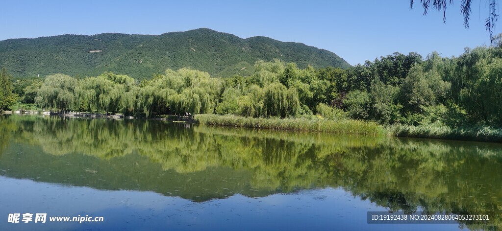 公园风景  