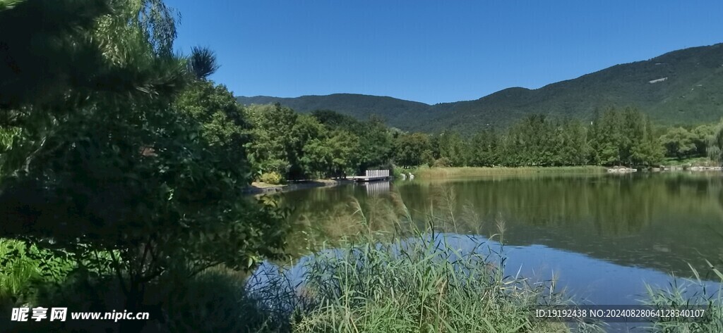 公园风景  
