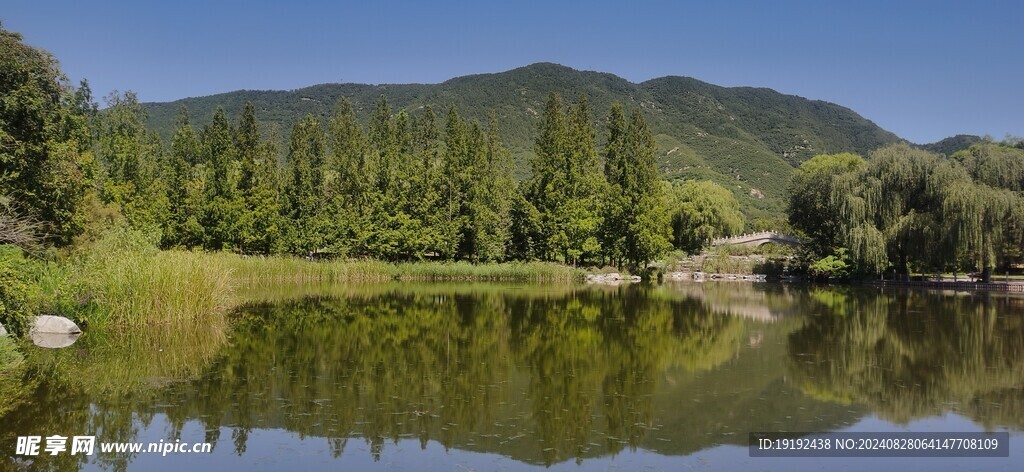 公园风景