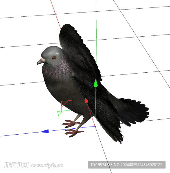 C4D模型 鸟  