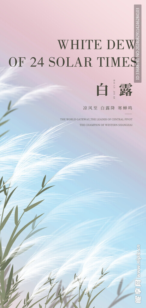 白露地产海报展架画面