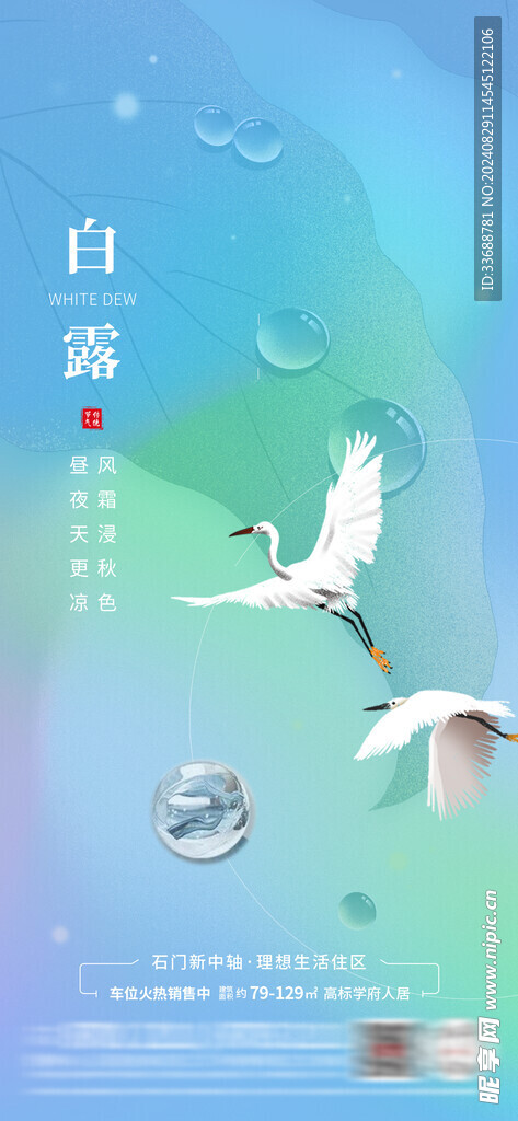 白露地产海报展架画面