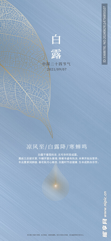 白露地产海报展架画面