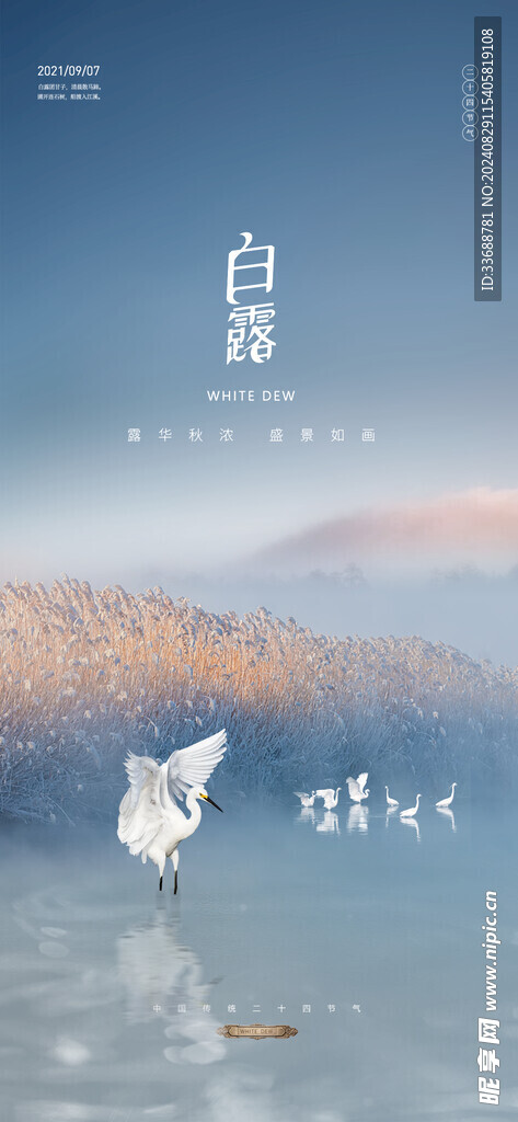 白露地产海报展架画面