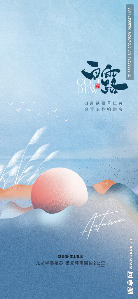 白露地产海报展架画面