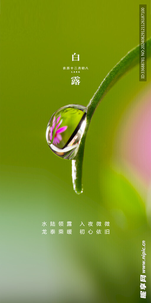 白露地产海报展架画面