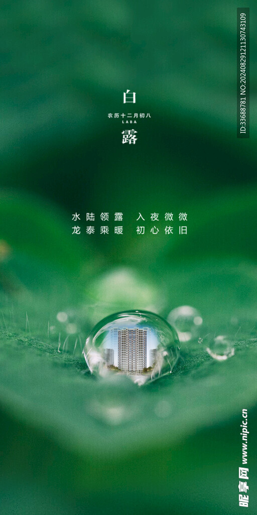 白露地产海报展架画面