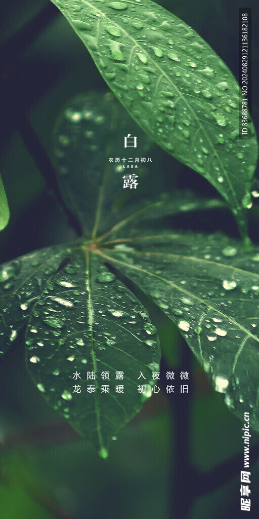 白露地产海报展架画面