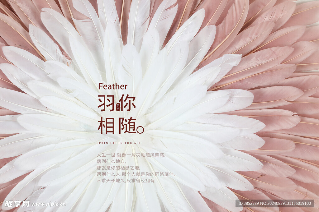 彩色羽毛立体画        