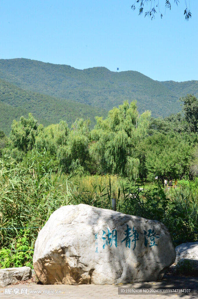 公园风景 