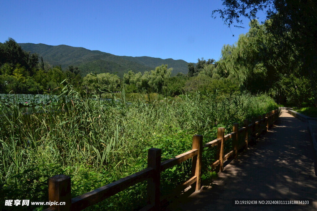 公园风景 