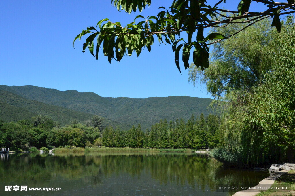 公园风景  