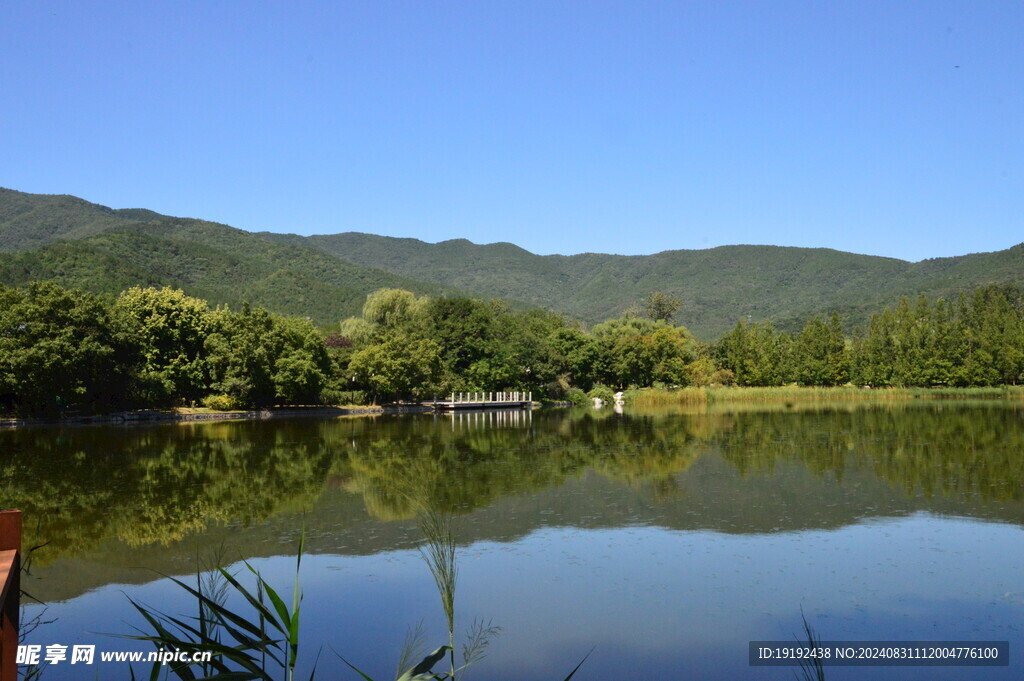 公园风景