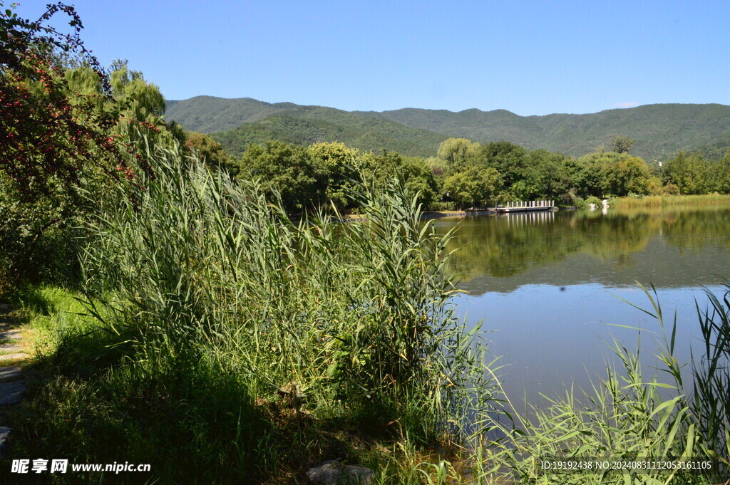 公园风景  