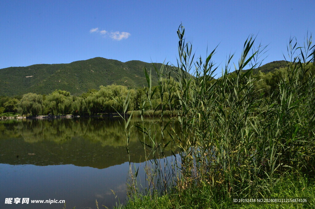 公园风景