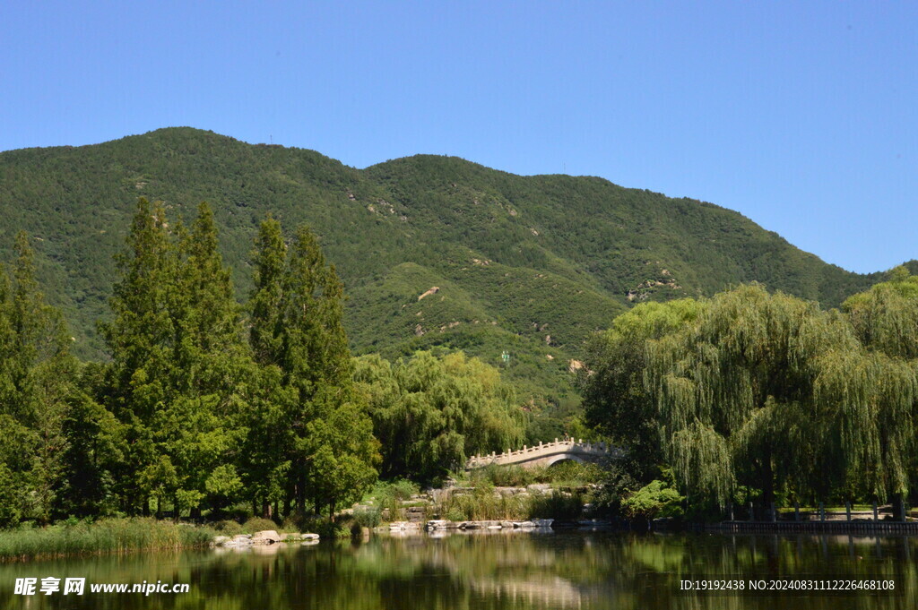 植物园风景