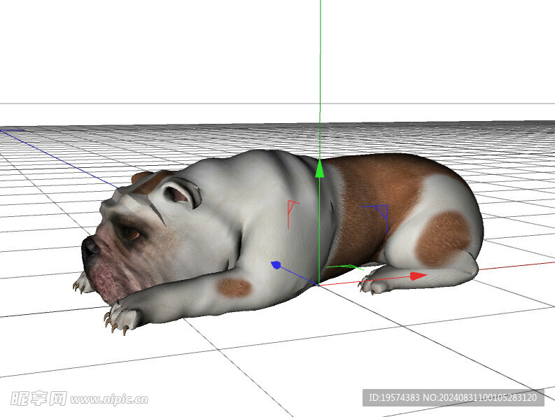 C4D模型 狗