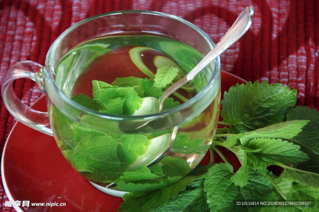 薄荷茶