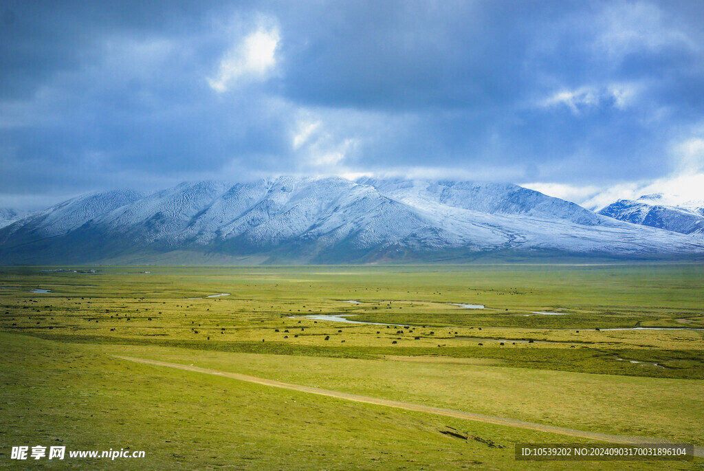 蓝天白云绿草地