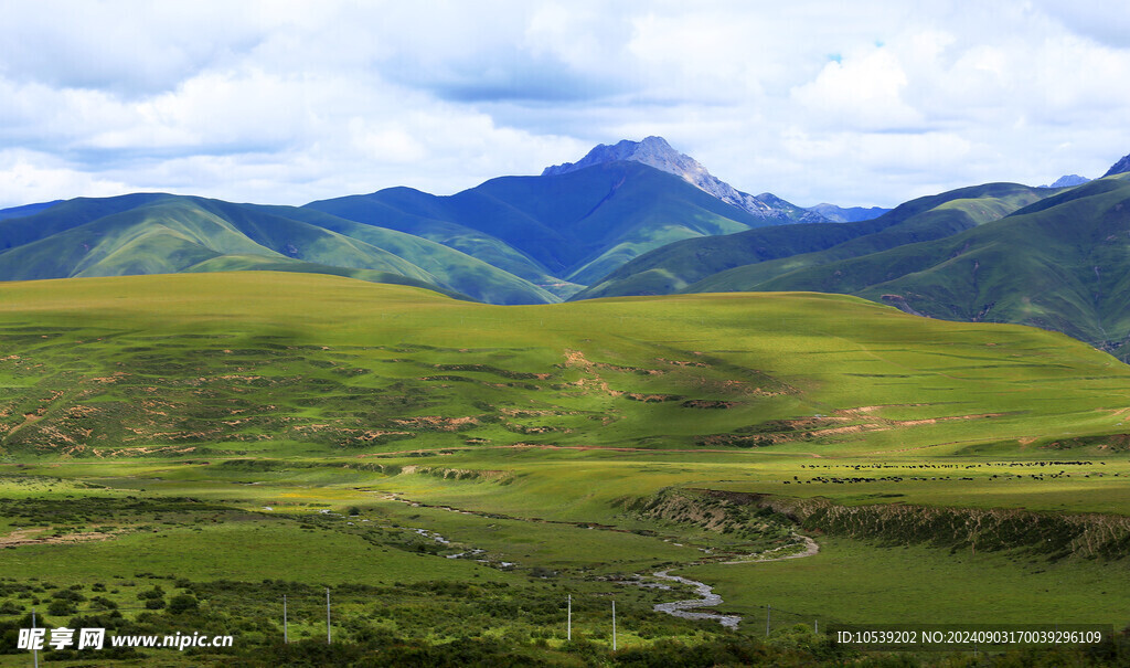 蓝天白云绿草地