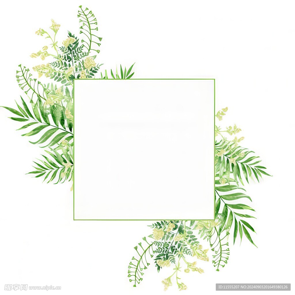 叶片树叶的边框水彩画风格插画