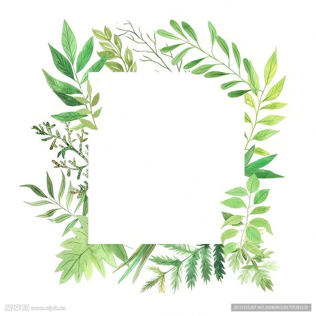 叶片树叶的边框水彩画风格插画