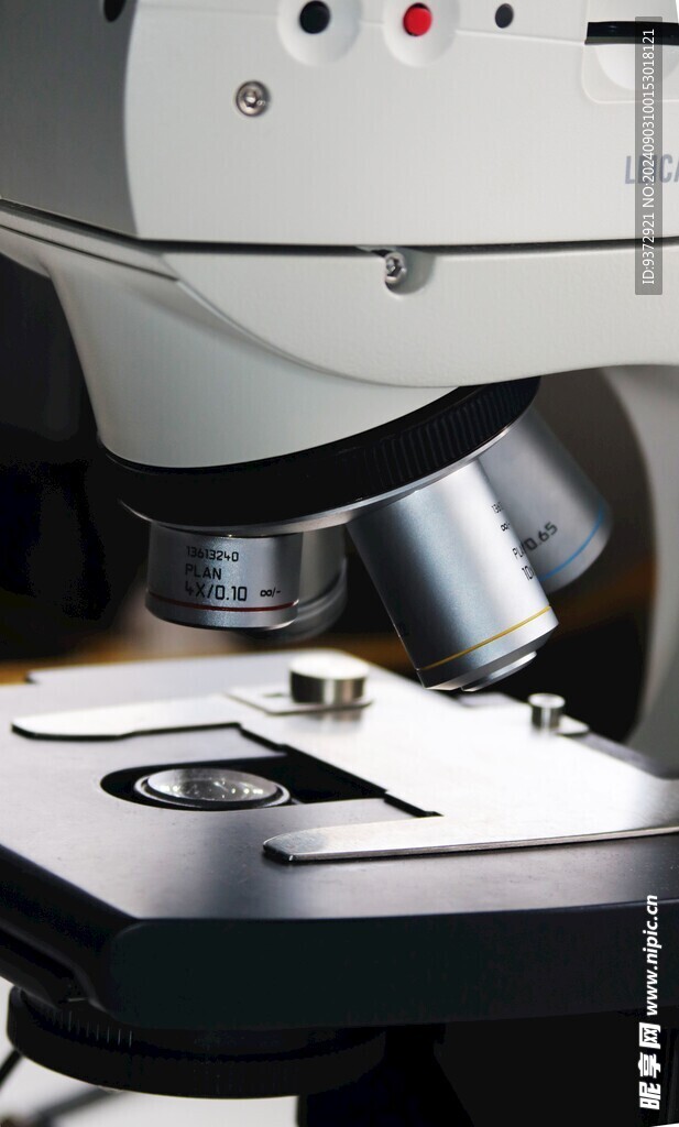 显微镜