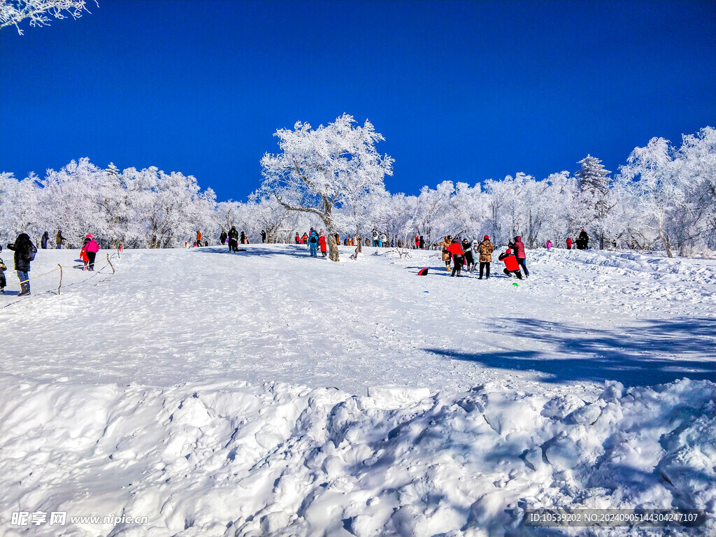 冬季雪景 