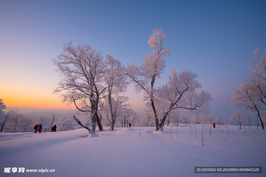 冬季雪景